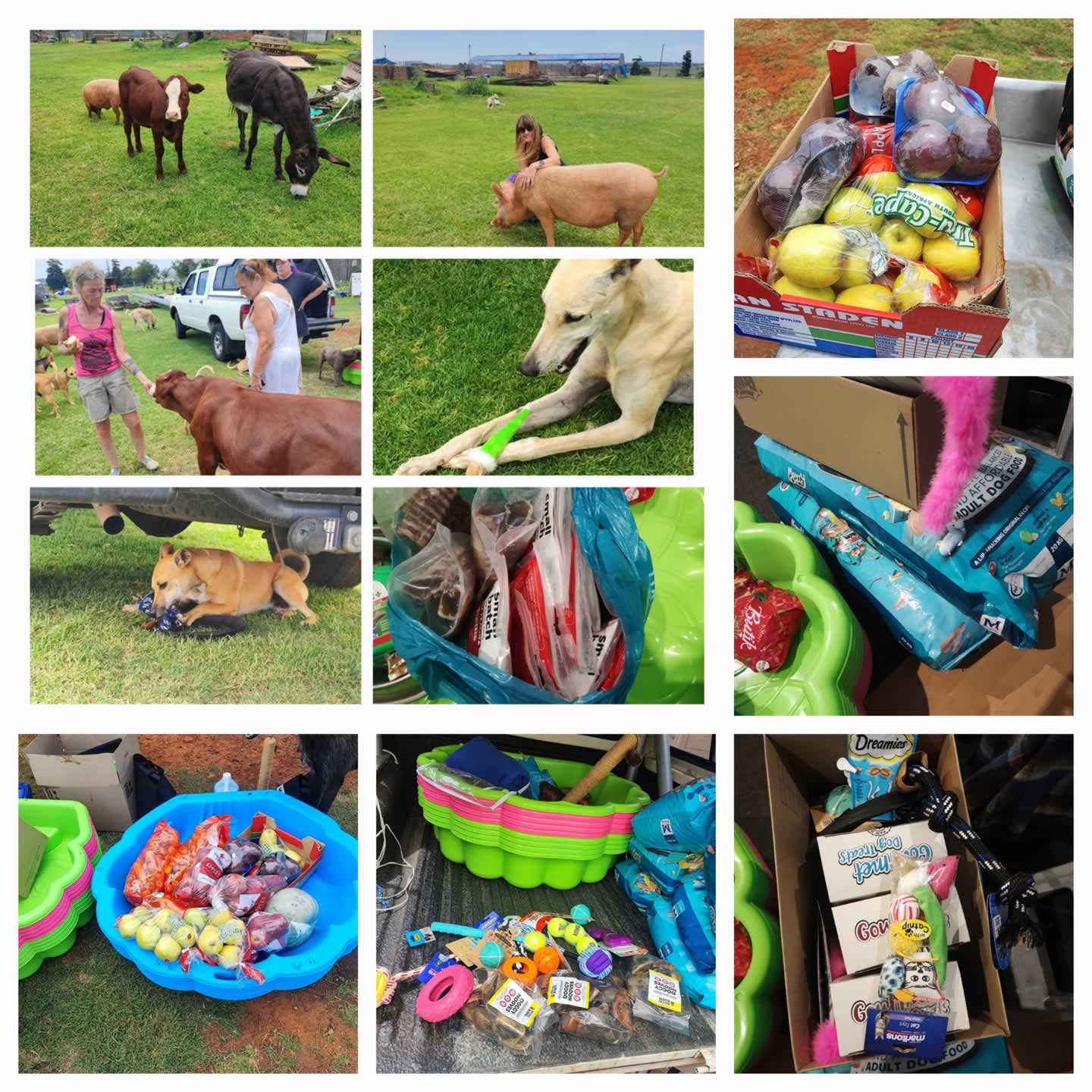 FORA (Friends of Rescued Animals)